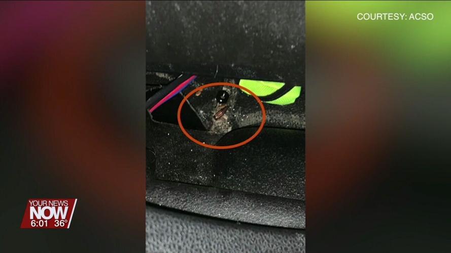 LPD says don't shoot off guns to celebrate New Year