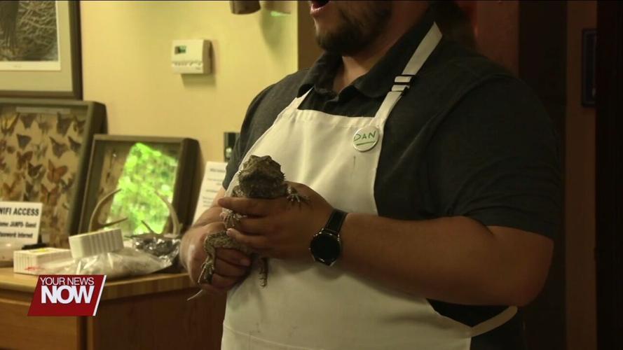Park naturalists lets visitors meet ambassador animals during feeding time