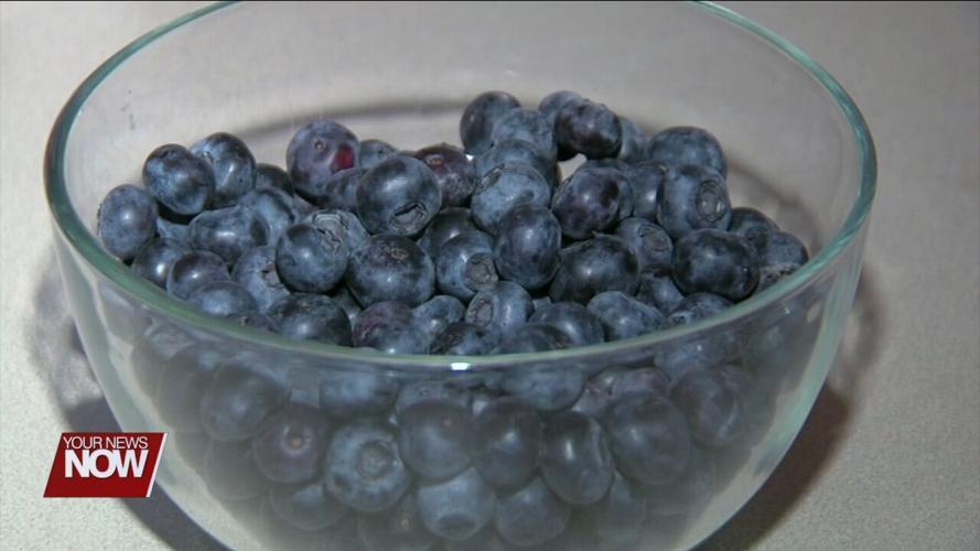 Dietician talks about the health benefits of eating blueberries
