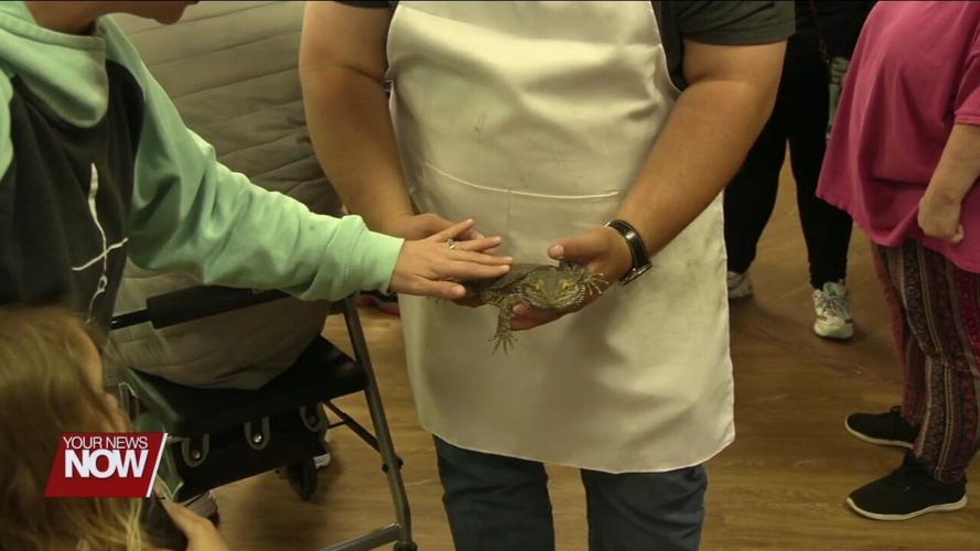 Park naturalists lets visitors meet ambassador animals during feeding time