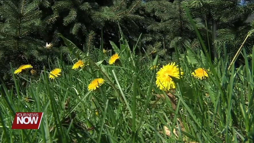 Tips for Treating Children’s Allergies