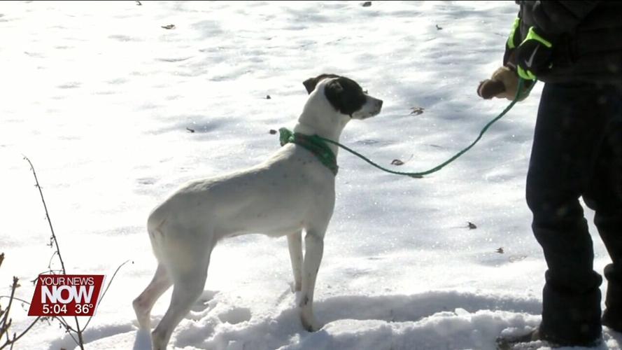 Be mindful of your pets during harsh weather conditions