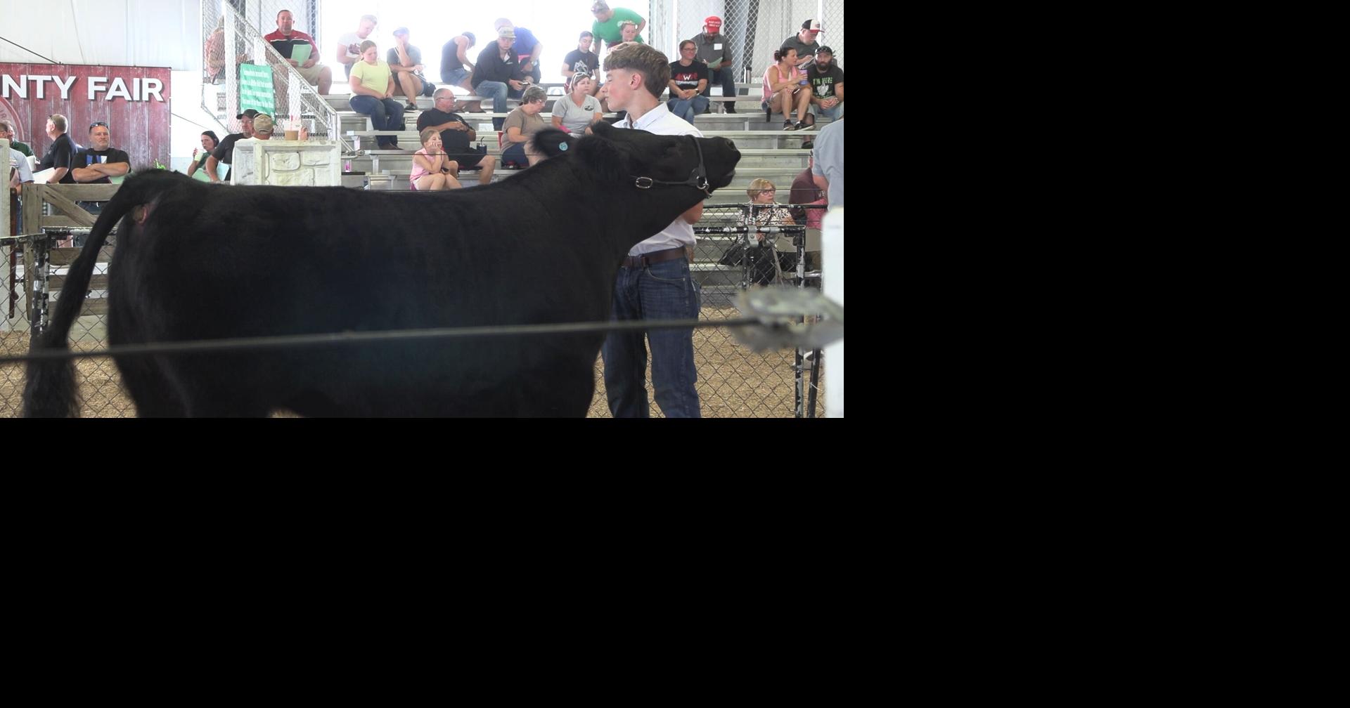Auglaize County Junior Fair Livestock Sale rewards student for their hard work