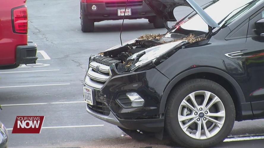 Two transported after car hits business