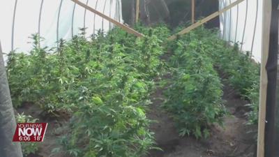 Group gathers enough signatures to put legalizing marijuana proposal before Ohio lawmakers