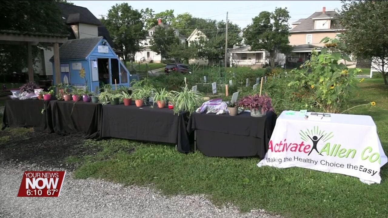 Activate Allen County Is Hosting An Indoor Plant Swap At South Jackson ...