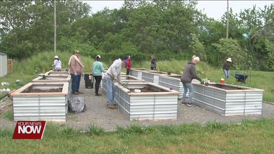 Registration for Lima Community Garden plots has begun for the upcoming growing season