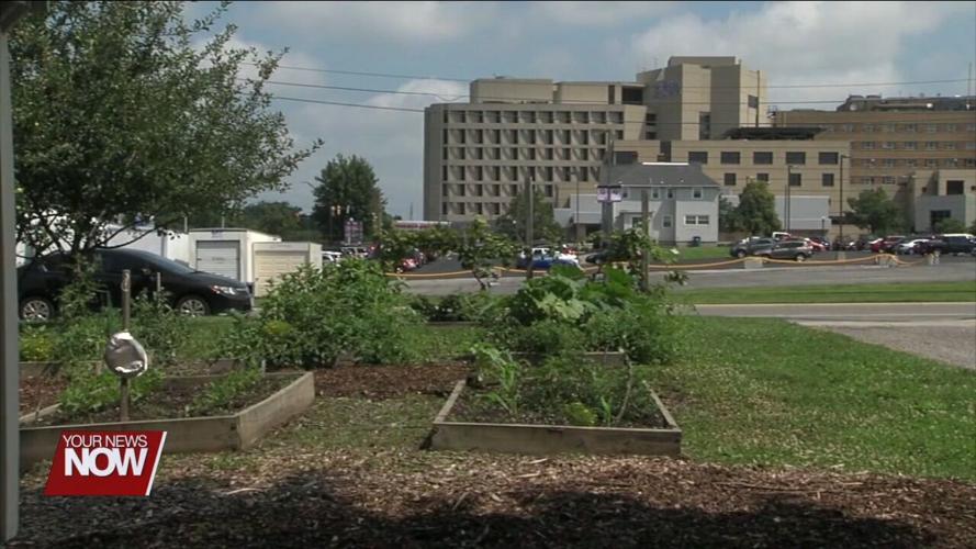 Registration for Lima Community Garden plots has begun for the upcoming growing season