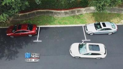 Self-Parking Car Survey