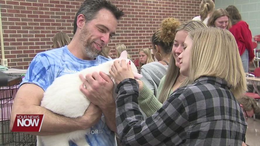 Cat Café gives Shawnee High School students a chance to relax and unwind