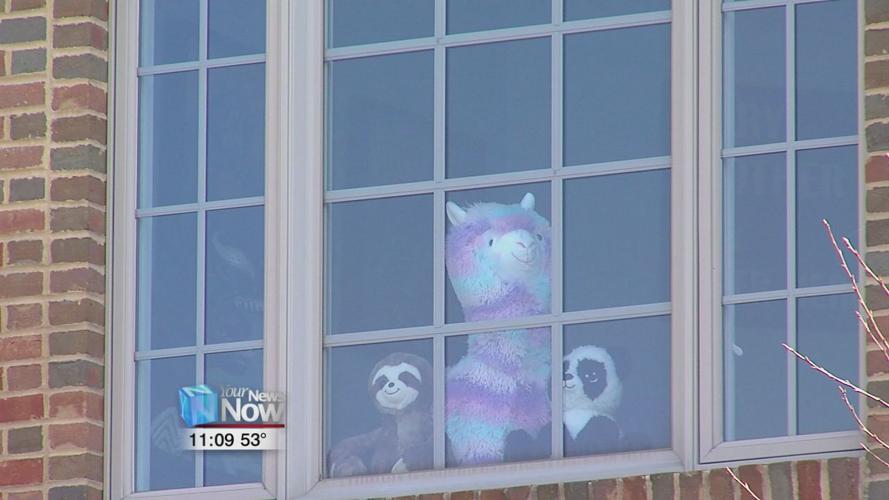 Families go on bear hunts in their neighborhoods