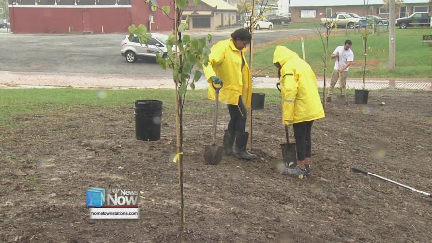Trees planted at South Jackson Community Garden