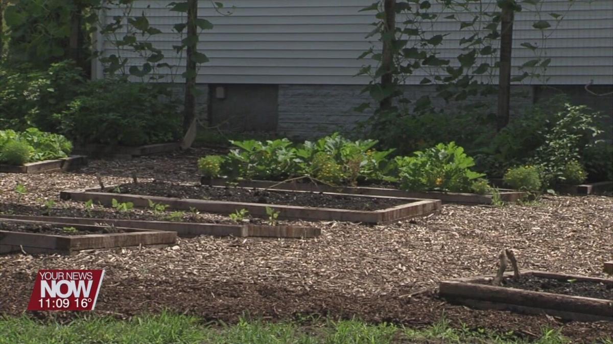 Lima Community Garden Plots now available for spring time planting