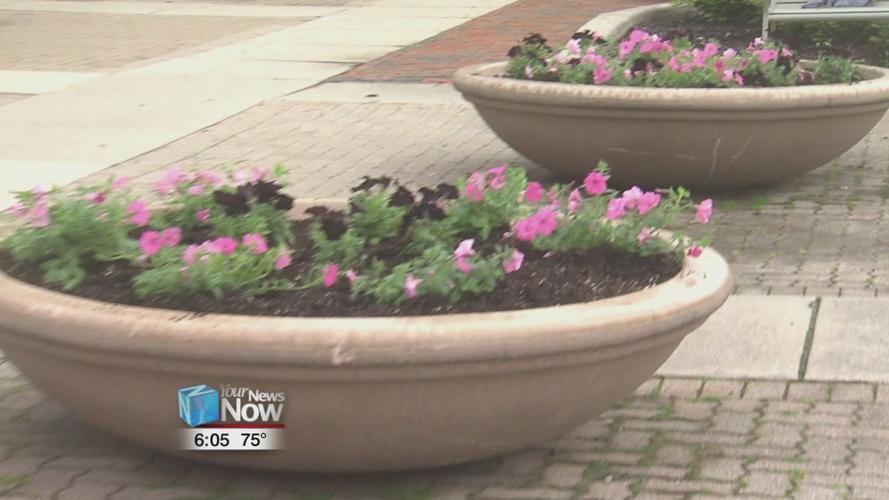 Downtown Lima is in full bloom thanks to Gardeners of Lima