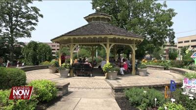 Master Gardeners educate about garlic at Tuesday's Brown Bag Series discussion