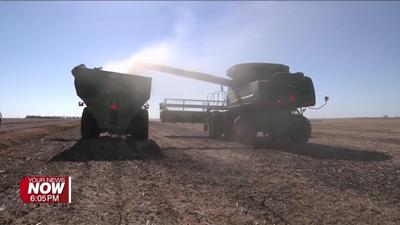 Ohio Soybean Farmers voice concerns to congress amid tariff talk