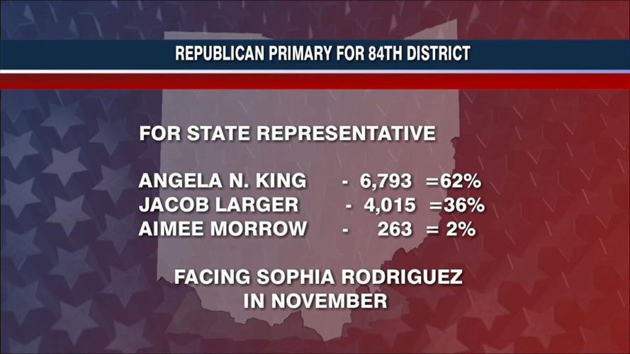 2022 Special Election unofficial results