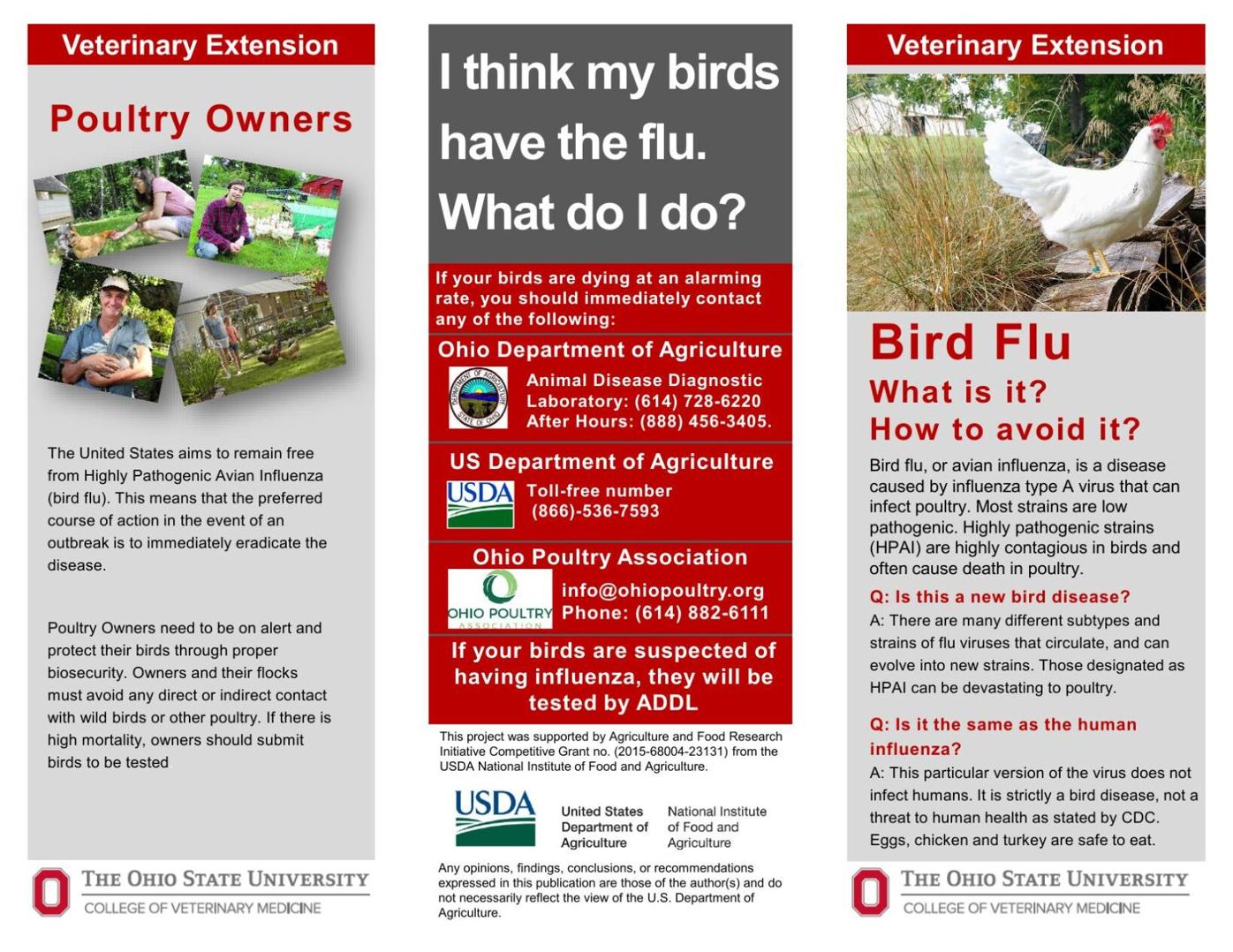 Avian-Influenza-Trifold.pdf