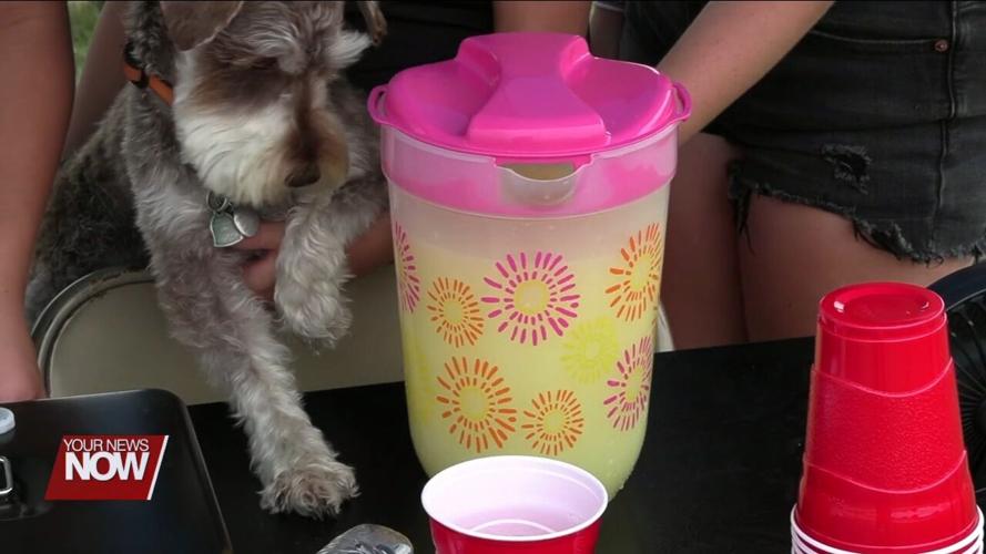 Ottawa teen selling lemonade to support Putnam Co. Sheriff's Office