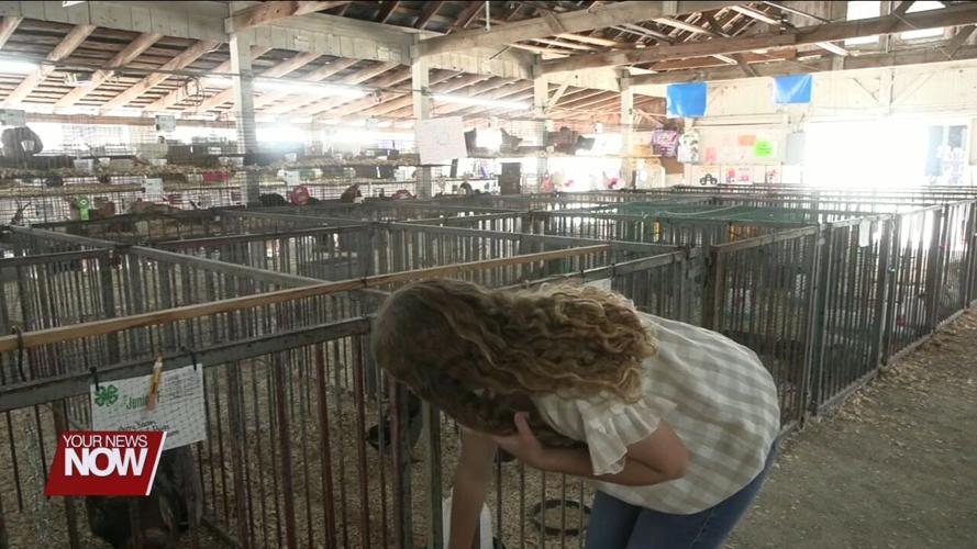 Long-time Jr. Fair competitor Natalie Bacon talks about unique opportunities outside of livestock