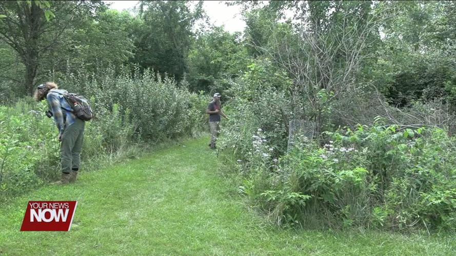 University of Findlay and Bluffton University partner in a volunteer effort to catalog local species