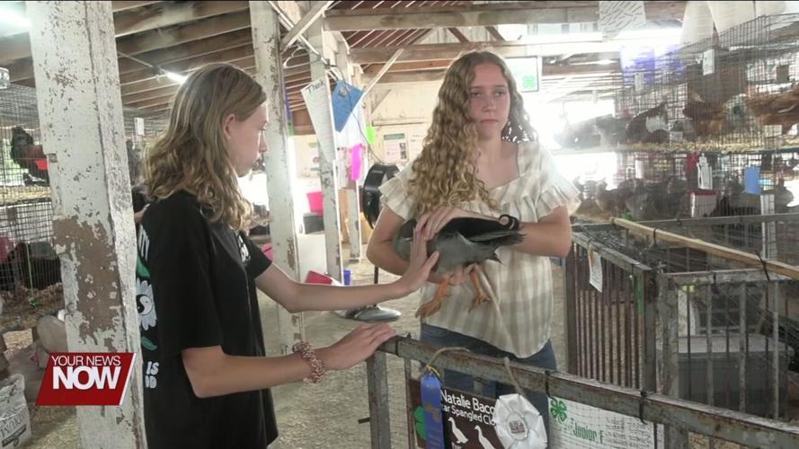 Long-time Jr. Fair competitor Natalie Bacon talks about unique opportunities outside of livestock