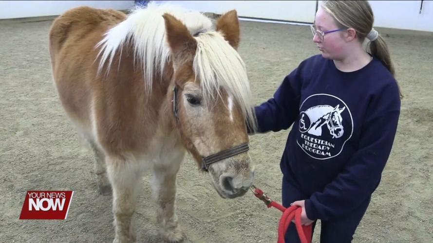 Elida students adding some horsepower to their reading skills thanks to the Equestrian Therapy Program