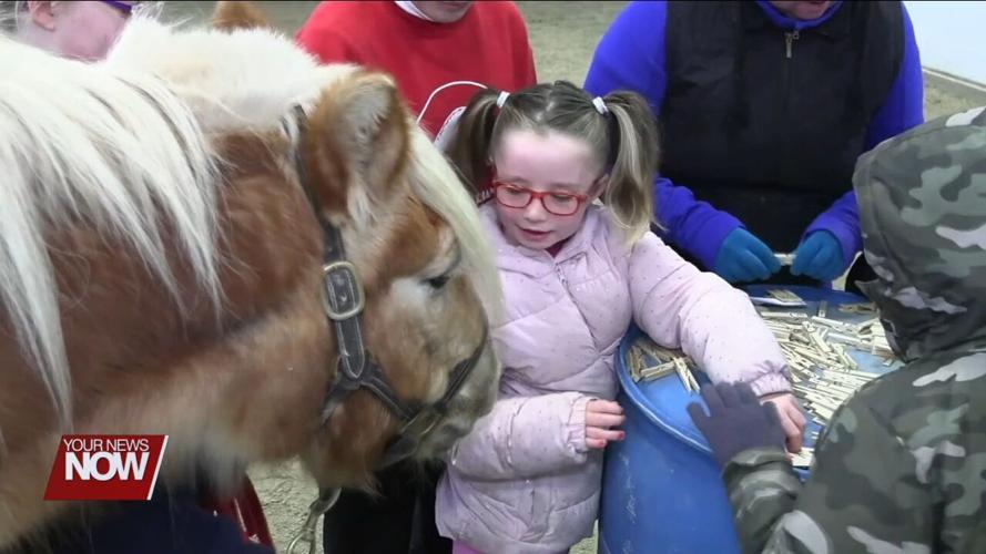 Elida students adding some horsepower to their reading skills thanks to the Equestrian Therapy Program