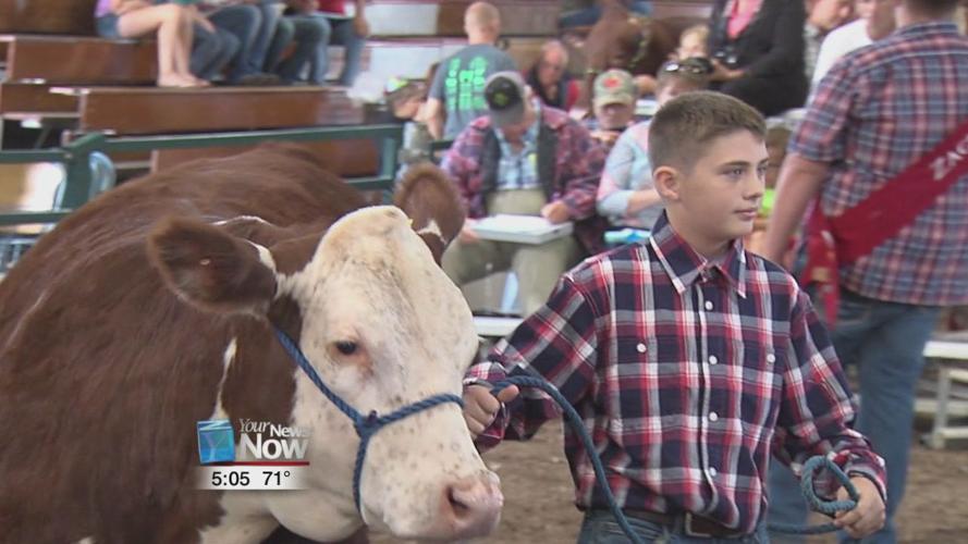 4-H Spotlight Junior Fair auction rewards the hard work of students 2.jpg