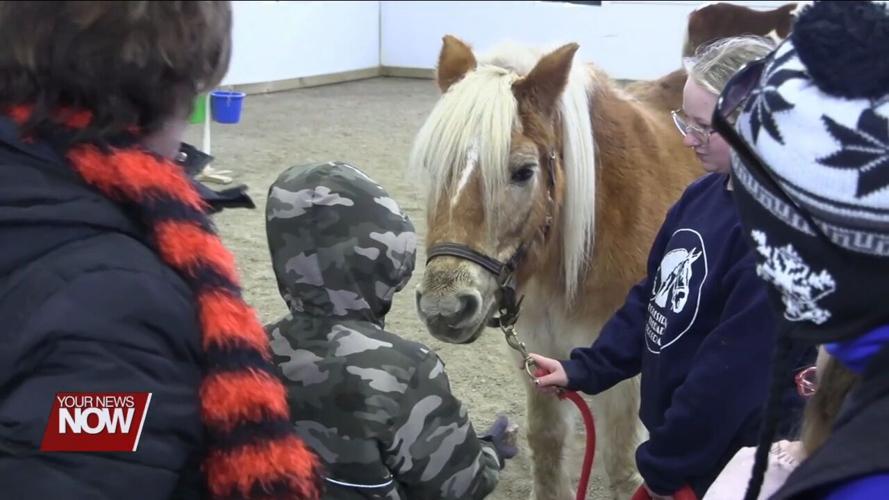 Elida students adding some horsepower to their reading skills thanks to the Equestrian Therapy Program
