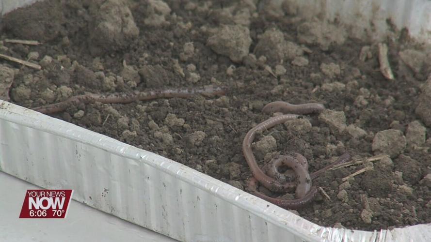 Elida Elementary students learn more about worms from Johnny Appleseed Parks