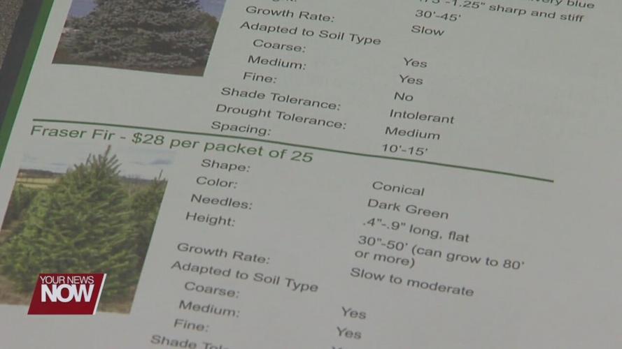 Tree seedling sale is back through Allen Soil and Water Conservation District