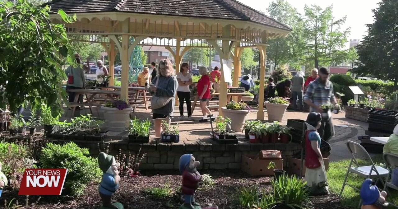 Area gardeners get some new plants thanks to annual fundraising sale - Vimarsana News