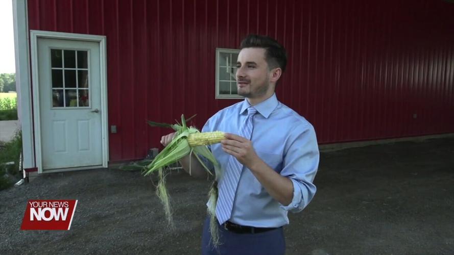 Area farmers battle unpredictable summer weather
