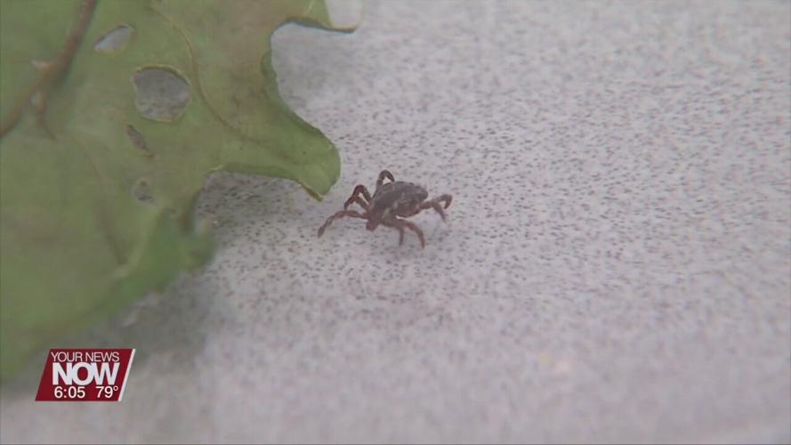 ODNR warns people about ticks when they go outdoors