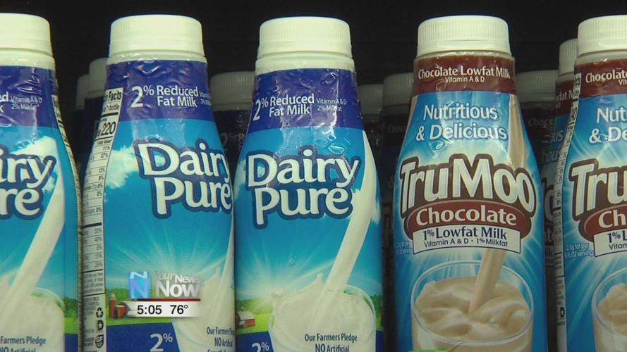 Packing a healthy lunch is easier than you think 2.jpg