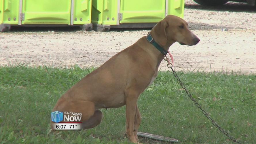 Max's Trader Days fills up Allen County Fairgrounds1.jpg