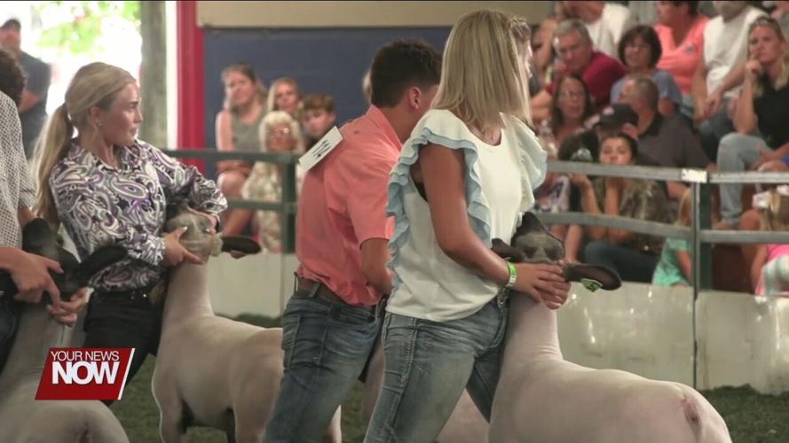4-H Spotlight: Big dreams come true when showing sheep and lamb