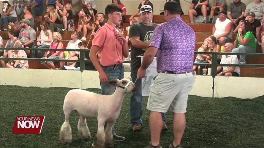 4-H Spotlight: Big dreams come true when showing sheep and lamb
