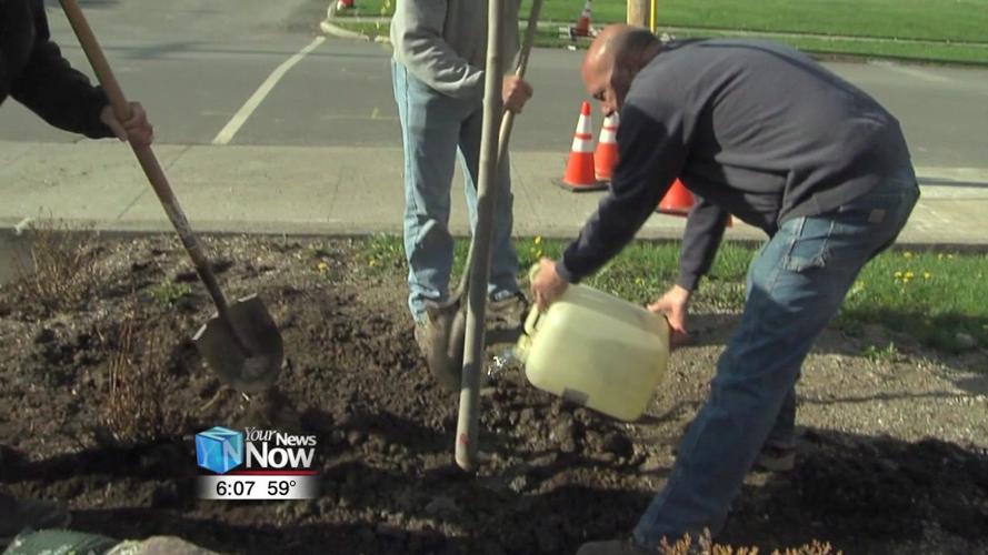 Community invited to celebrate Arbor Day with City of Lima's Urban Forestry Department 1.jpg