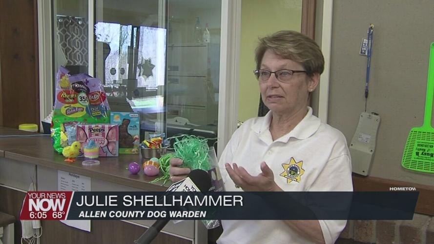 Keep Easter decorations and candy out of reach from the family pet