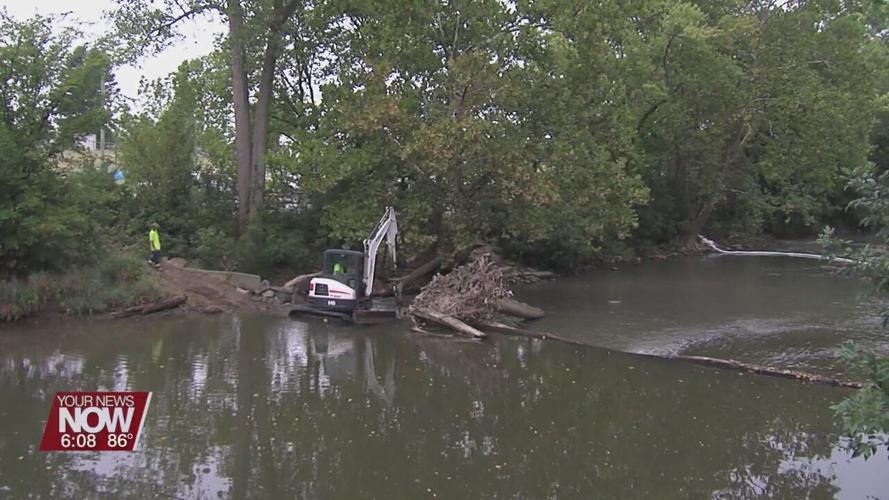 Dam removal and mussel relocation to help improve Ottawa River quality