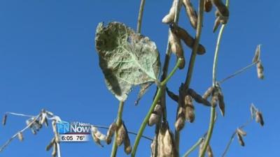 Farmers concerned about how trade war will affect profits