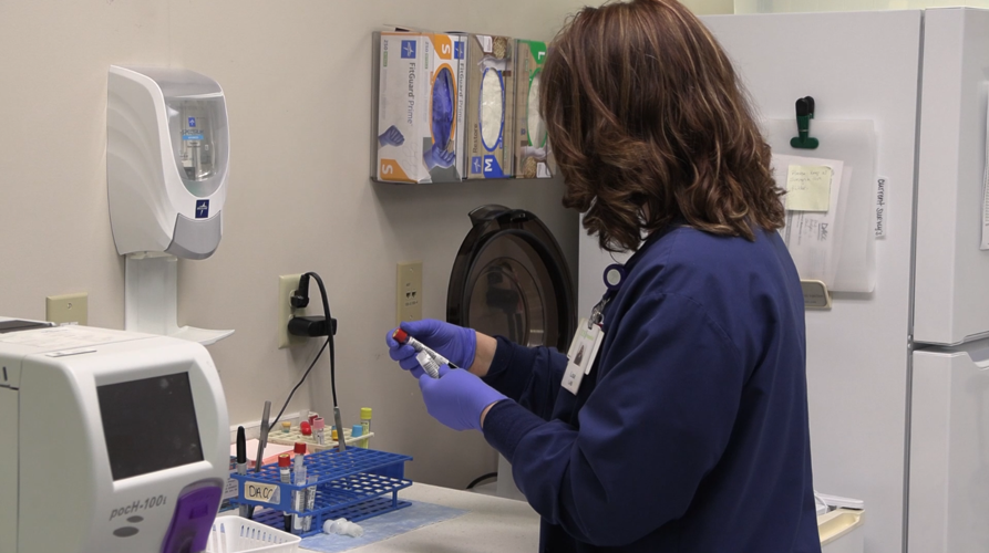 Growing STEM: Small town phlebotomist can make big impact in patients' lives