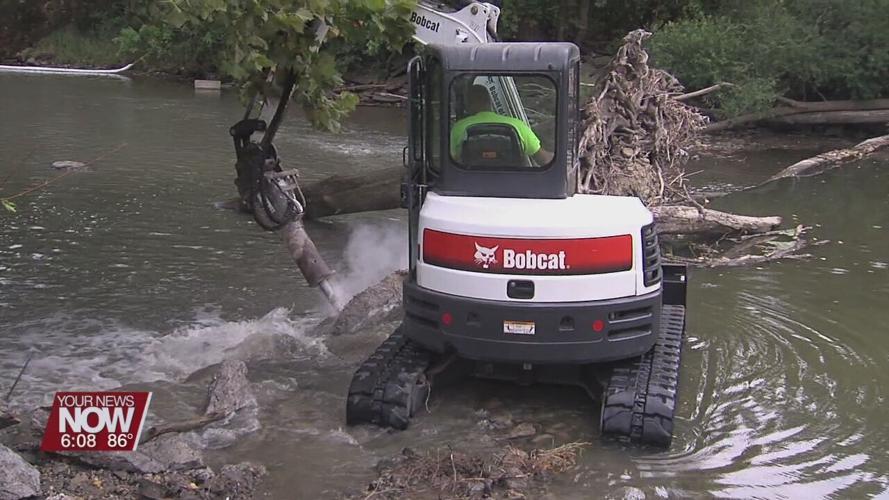 Dam removal and mussel relocation to help improve Ottawa River quality