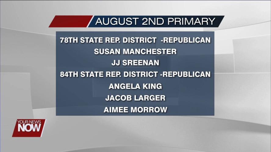 What you will see on the August 2nd ballot