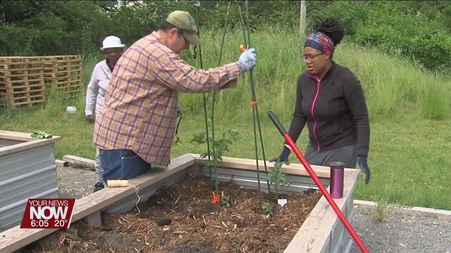 Space is available for those interested in growing vegetables in Lima's community gardens