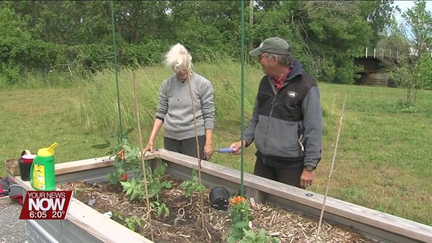 Space is available for those interested in growing vegetables in Lima's community gardens