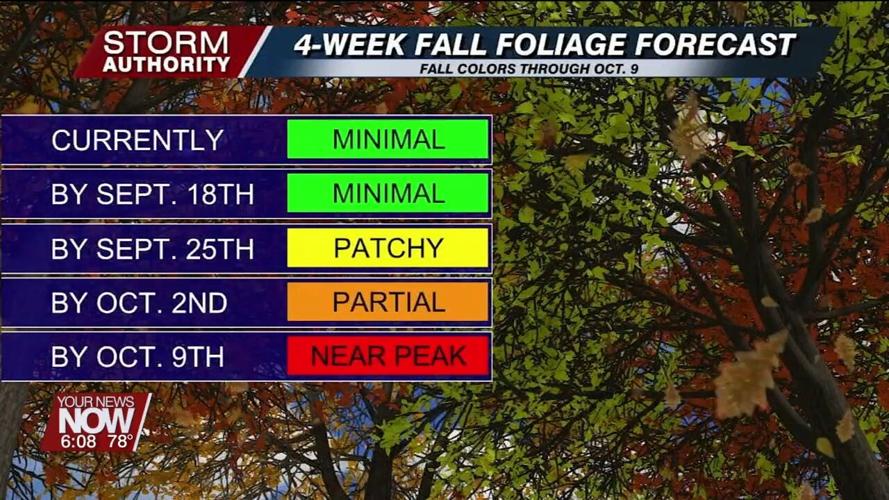 The science behind and outlook for this year's fall colors