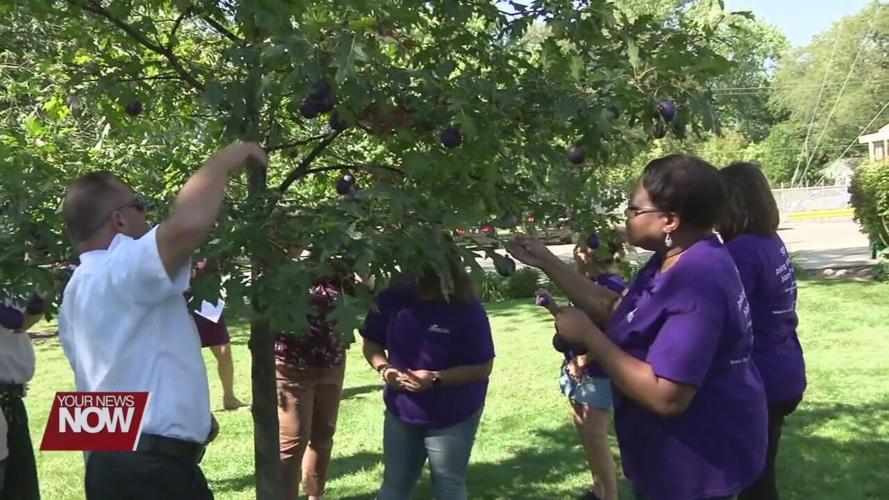 Finalists for Lima Allen County Chamber's Non-Profit of the Year award